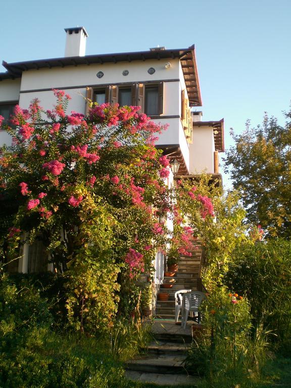 Pension Panos Agios Dimitrios  Bagian luar foto